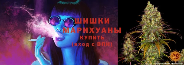 скорость Гусев