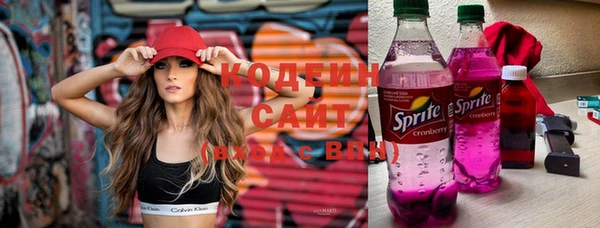 скорость Гусев