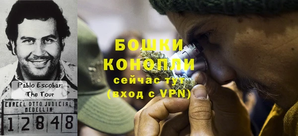 скорость Гусев