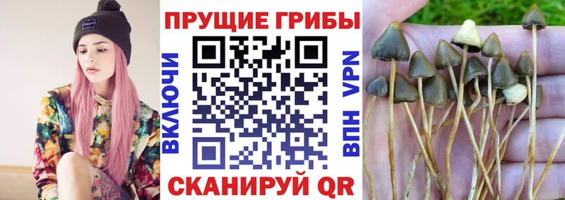 Галлюциногенные грибы мухоморы  shop клад  Зарайск 